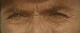imafarmboy's Avatar