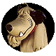 dogtag's Avatar