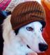 Bugsy's Avatar