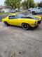 71bumblebee's Avatar