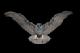 MalteseFalcon's Avatar