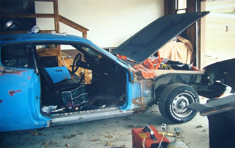 Basket to BEAUTY - lets see them