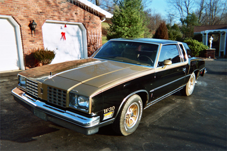 what do you guys think of this color theme for my 79 cutlass?