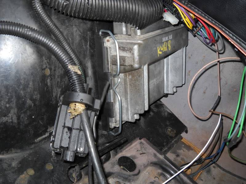 53 G Body Wiring Harness - Wiring Harness Diagram