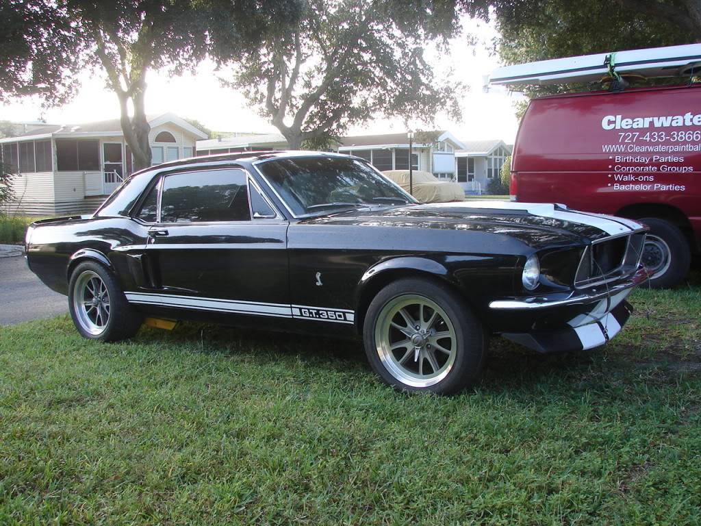 New guy from Tampa, 67 mustang