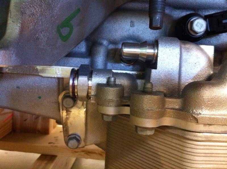 LS7 Oil to water cooler plumbing