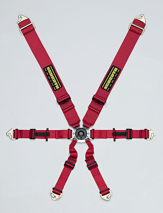 Schroth Profi II6 Seat Belt 6 point