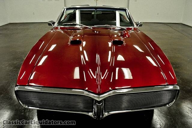 firebird grill firebird grill