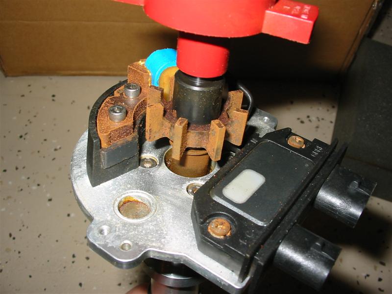 TPI Small Cap Distributors