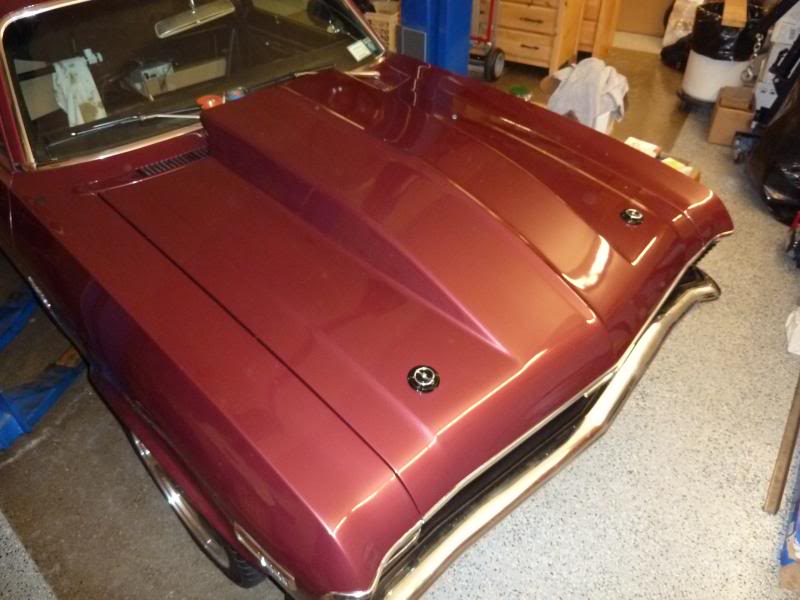 1969 Chevy Nova - LS Swap / Pro-Touring Build - Page 5